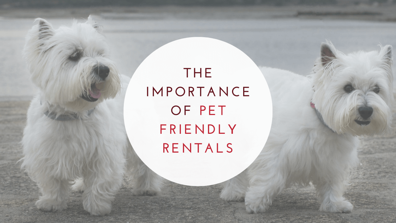 The Importance of Pet Friendly Rentals Redwood Residential PM
