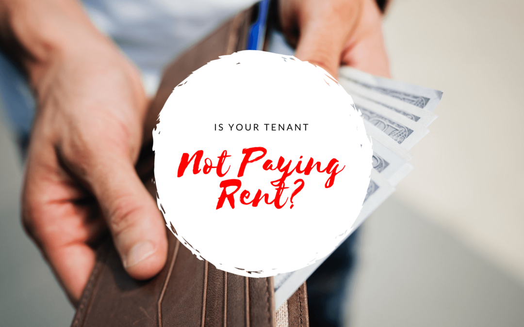 Is Your Tenant Not Paying Rent? – A Guide to Collecting Rent in Santa Rosa