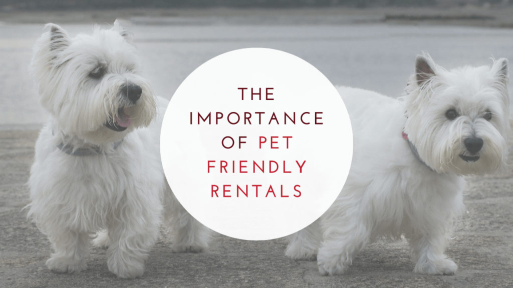 Why Having Pet Friendly Rental Properties is a Good Thing - article banner