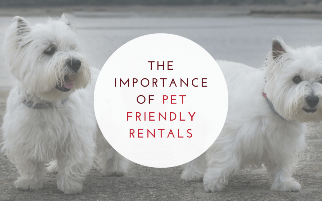 Why Having Pet Friendly Rental Properties is a Good Thing | Santa Rosa Property Management Advice